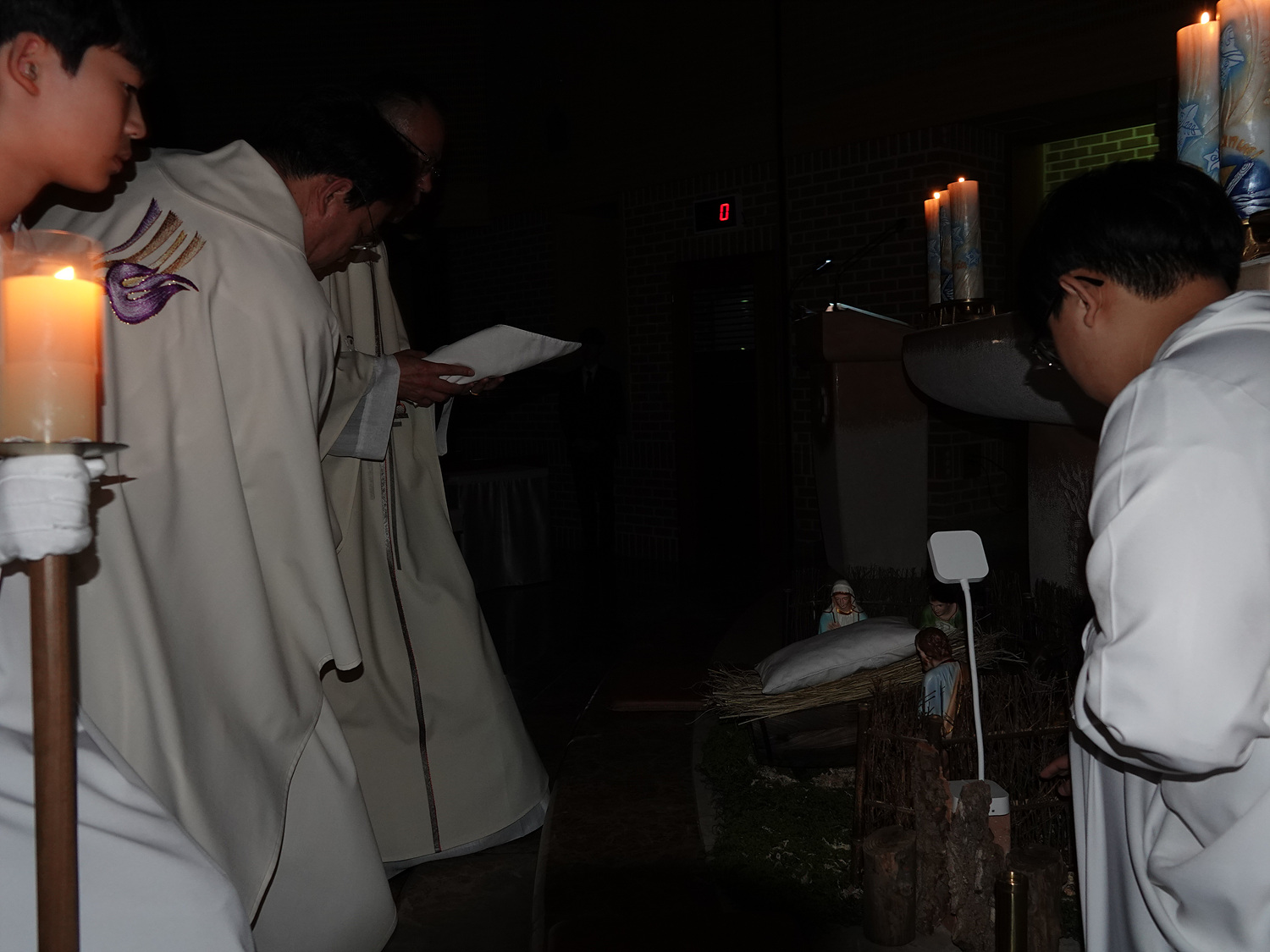 DSC09806.jpg