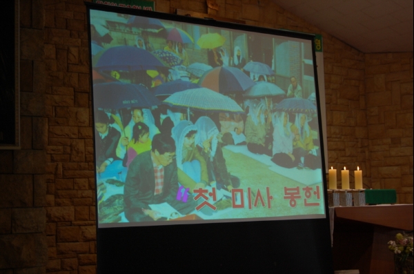 aDSC_1146.jpg