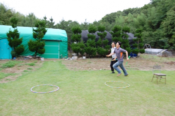 005909_sDSC_0313.jpg