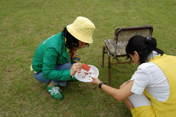 005356_sDSC_0204.jpg