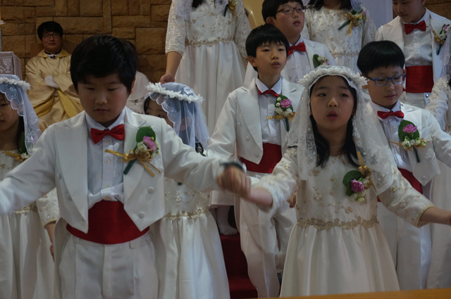 DSC00790.jpg