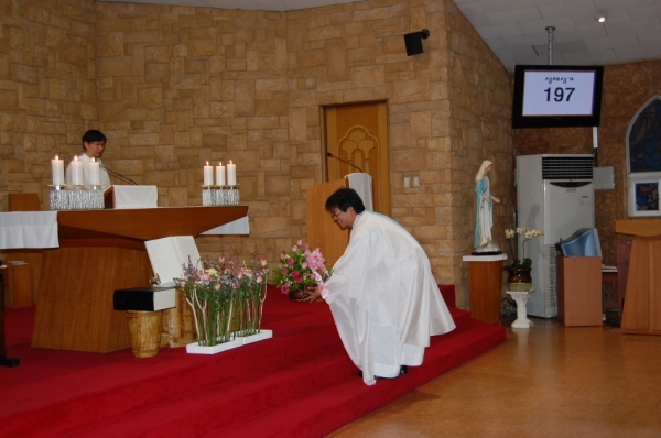 aDSC_0389.jpg