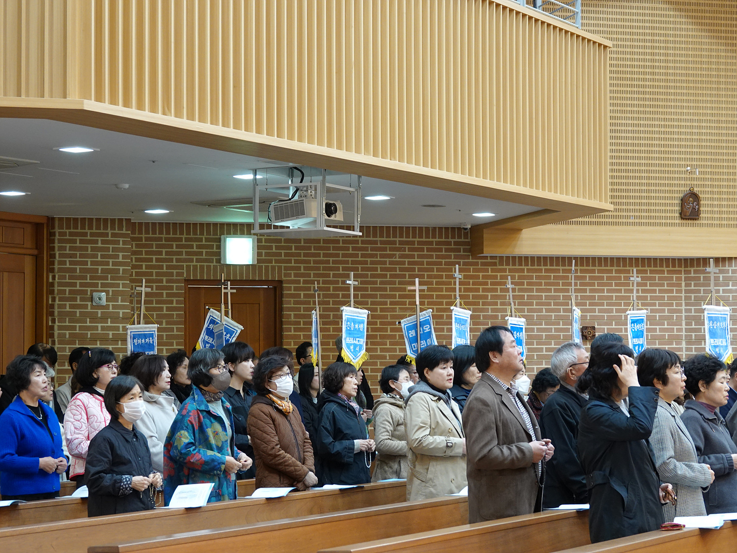 DSC00804.jpg
