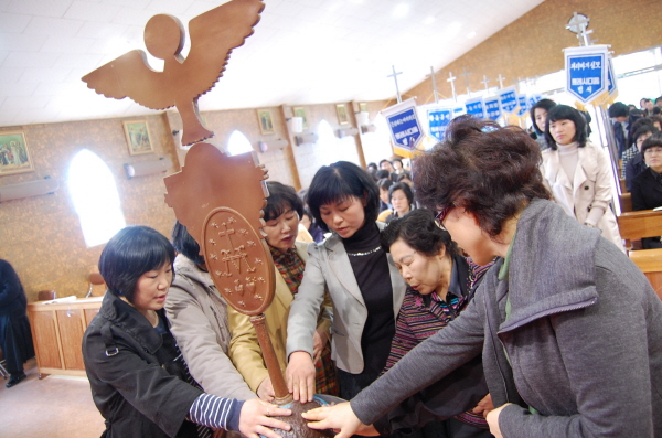 aDSC_5623.jpg