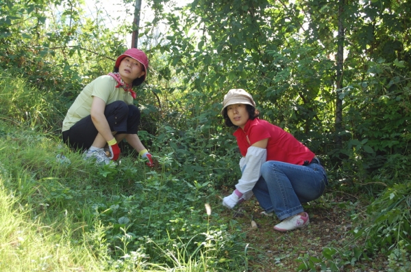 aDSC_0084.jpg