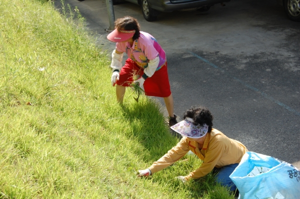 aDSC_0086.jpg