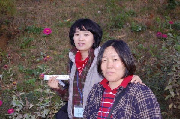 imagedisplay (2).jpg