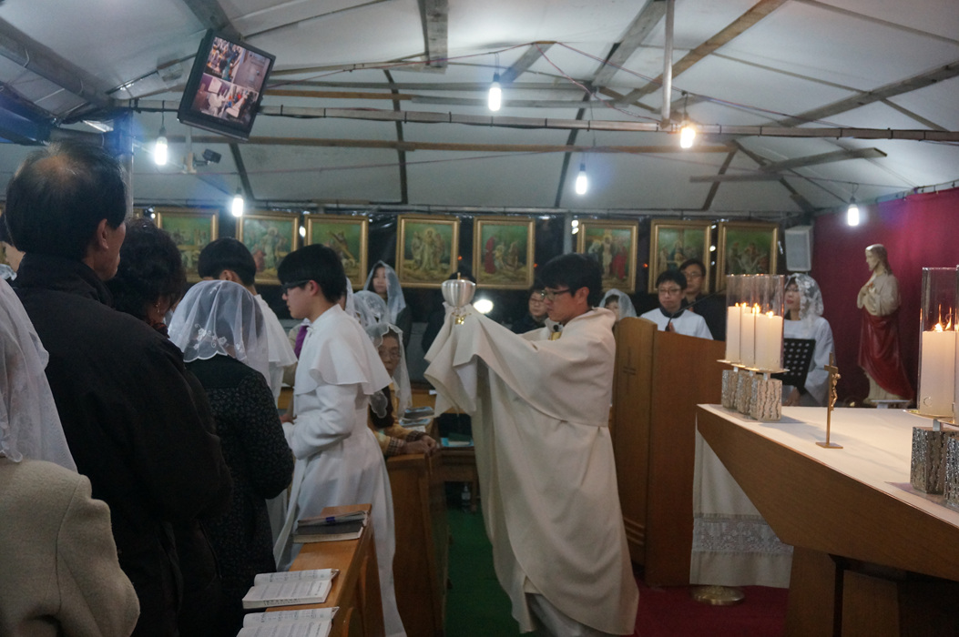 DSC03850.jpg
