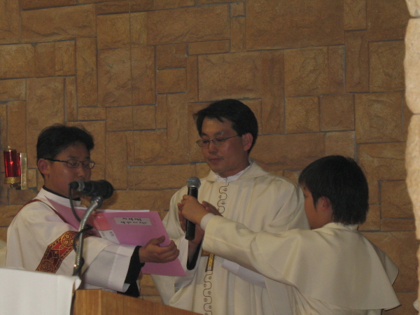 222603_bs50.jpg