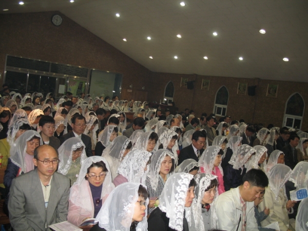222558_bs43.jpg