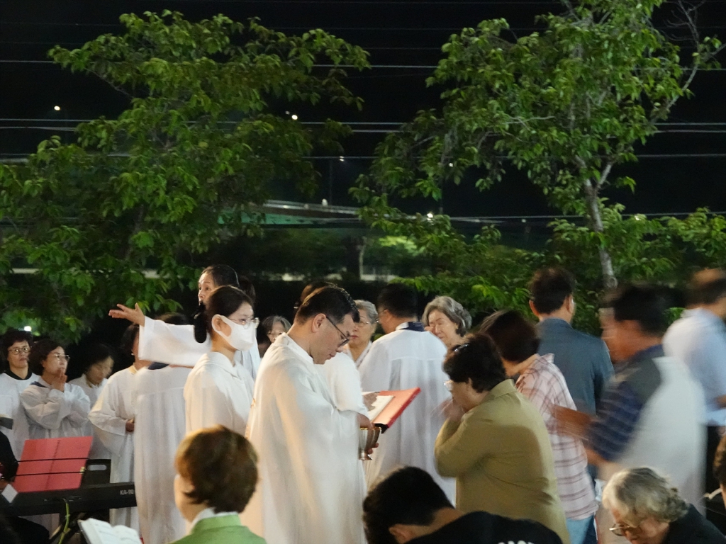 DSC09028.jpg