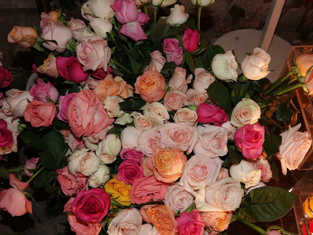 DSC09044.jpg