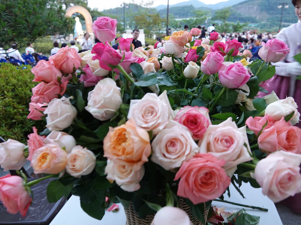 DSC08901.jpg