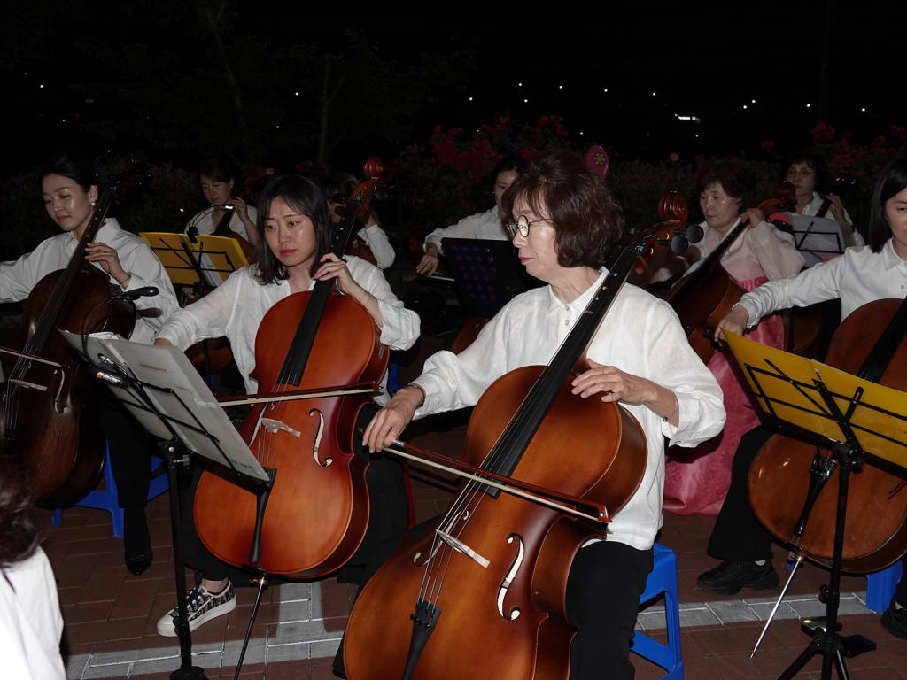 DSC08990.jpg