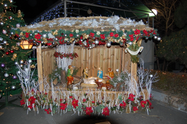 102348_aDSC_0247.jpg