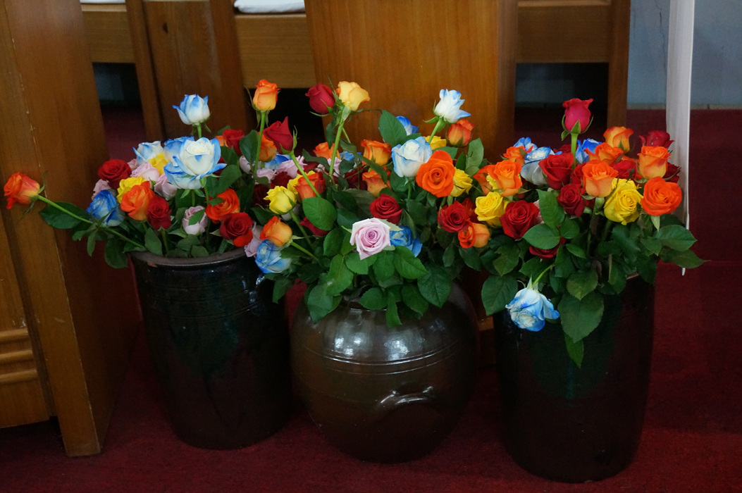 DSC04279.jpg