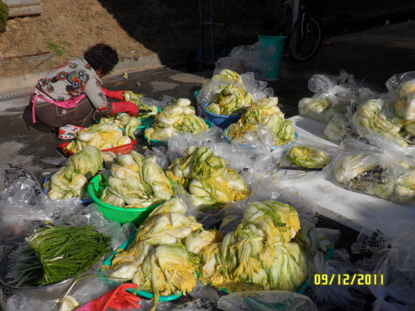 aSAM_9210.jpg
