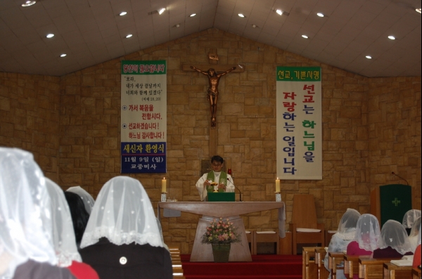 aDSC_0815.jpg