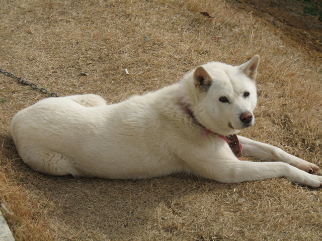 사진 082.jpg