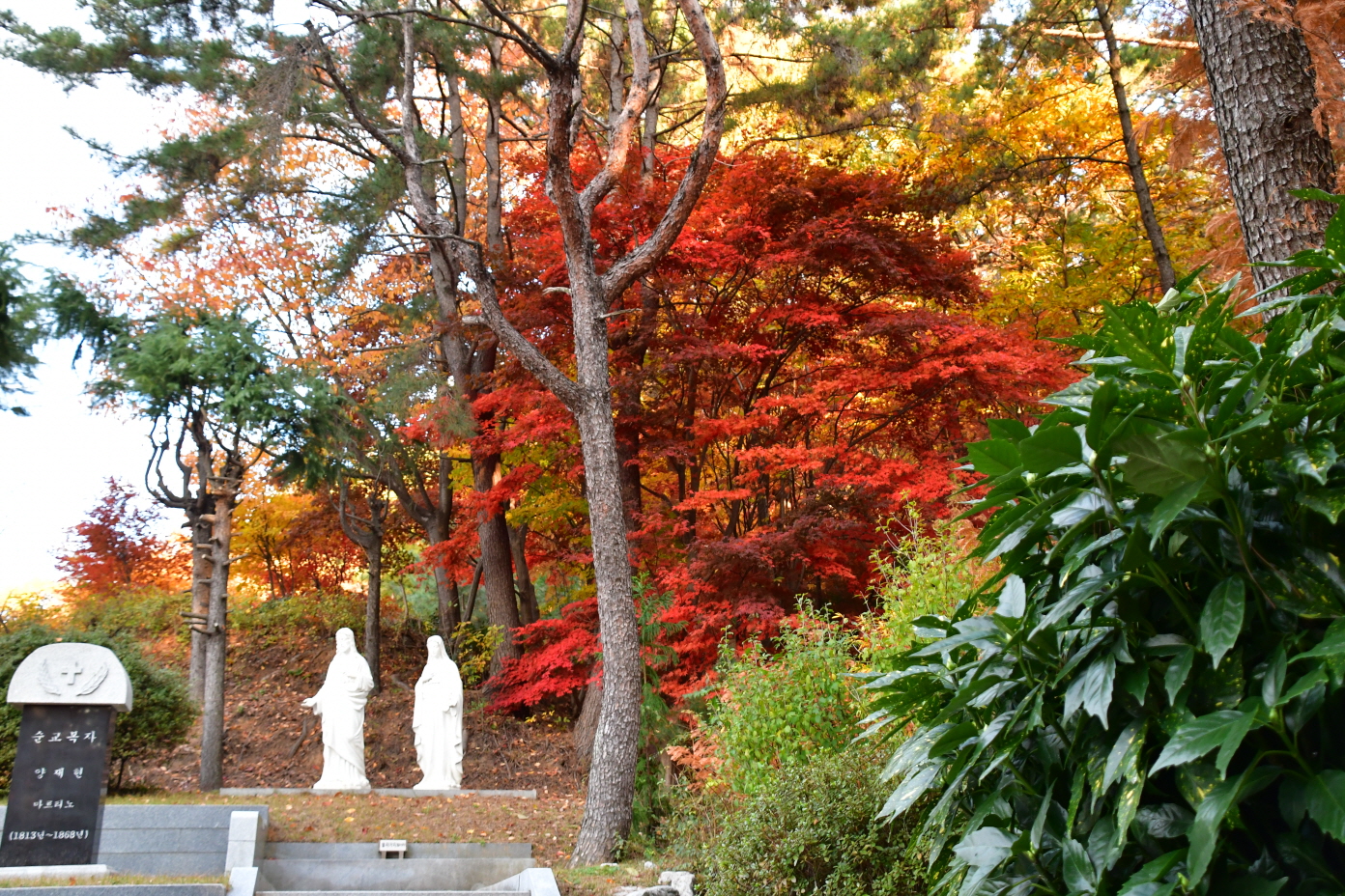 DSC_9864.JPG