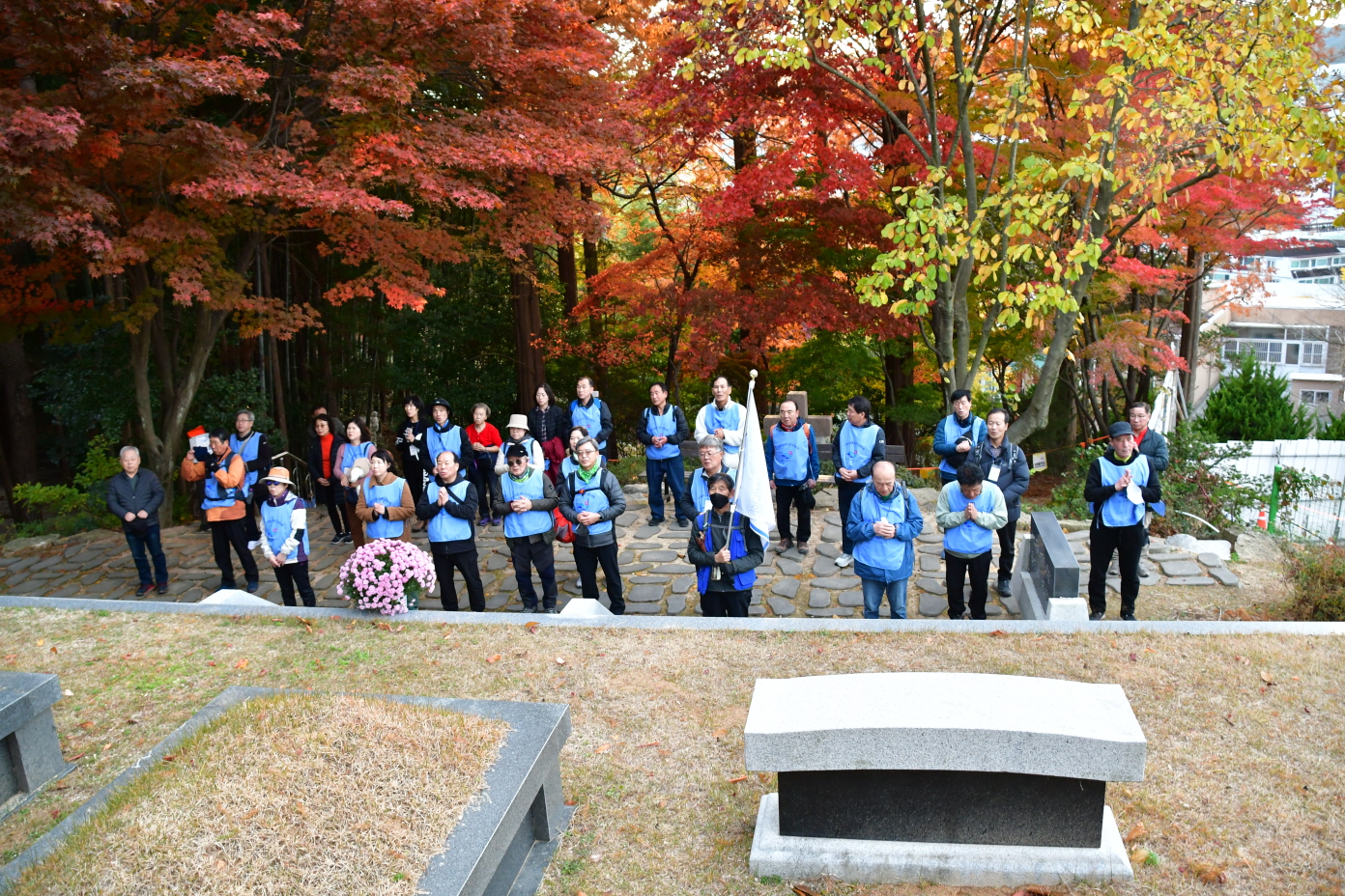 DSC_9866.JPG