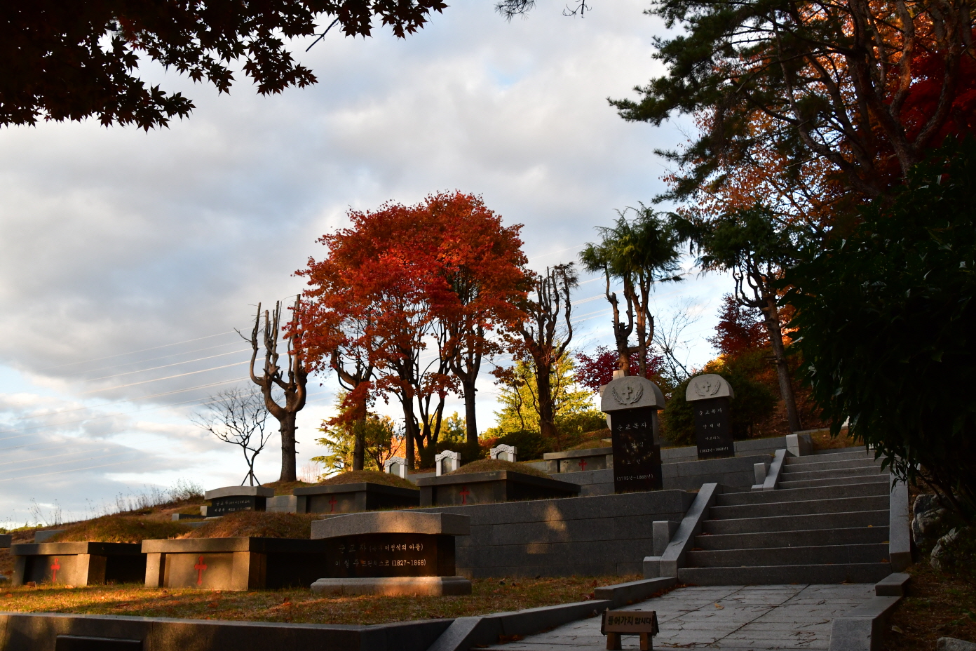 DSC_9863.JPG