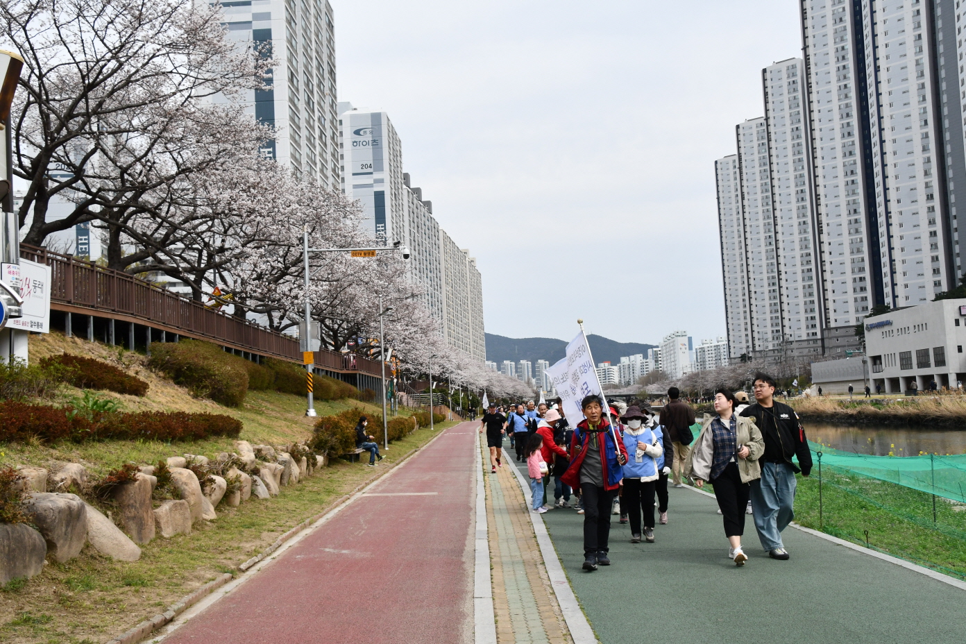 DSC_1091.JPG