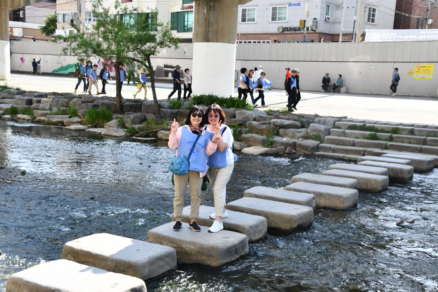 DSC_1421.JPG