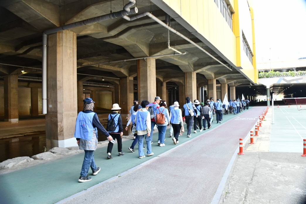 DSC_7929.JPG