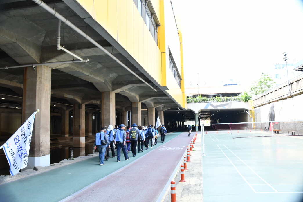 DSC_7928.JPG