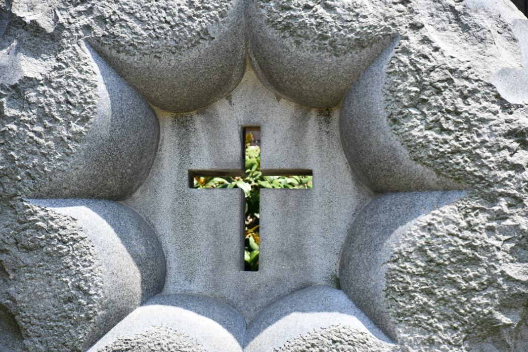 DSC_7883.JPG
