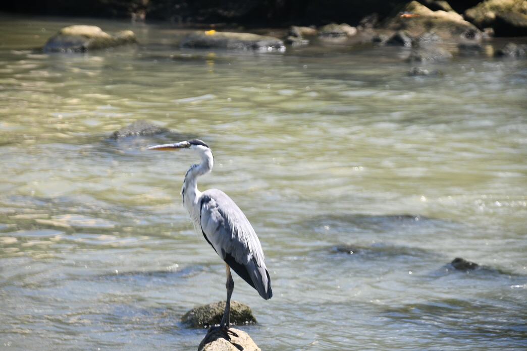 DSC_2391.JPG