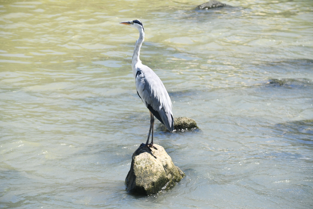 DSC_2392.JPG