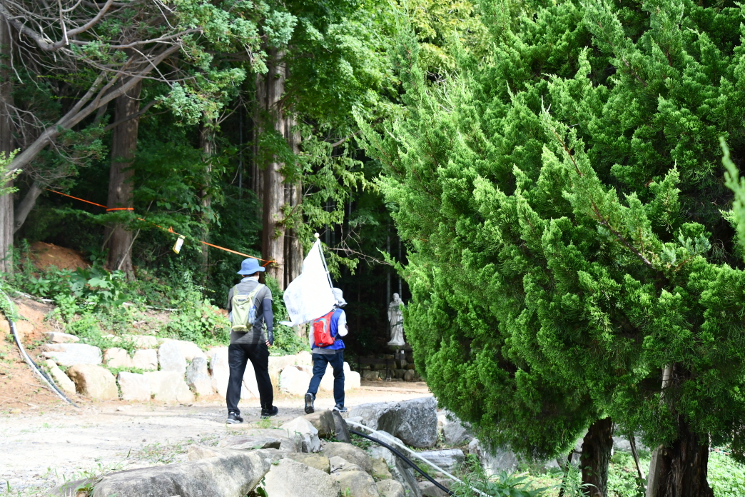 DSC_8591.JPG