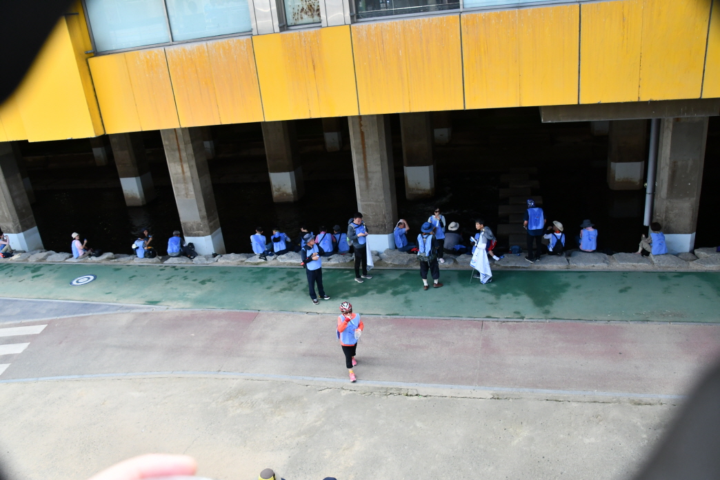 DSC_8569.JPG