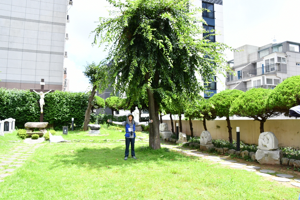 DSC_8528.JPG