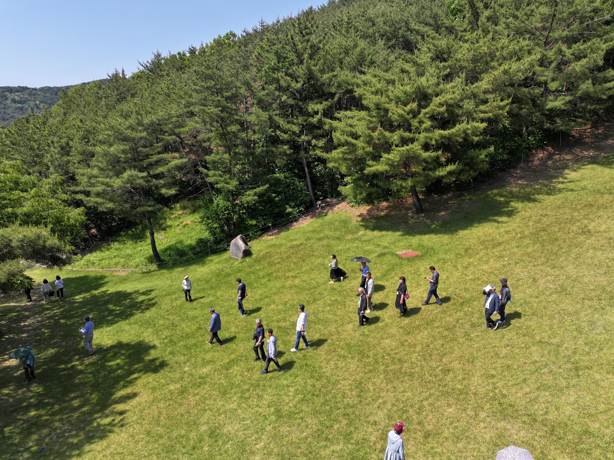 DJI_20240518143010_0124_D.jpg
