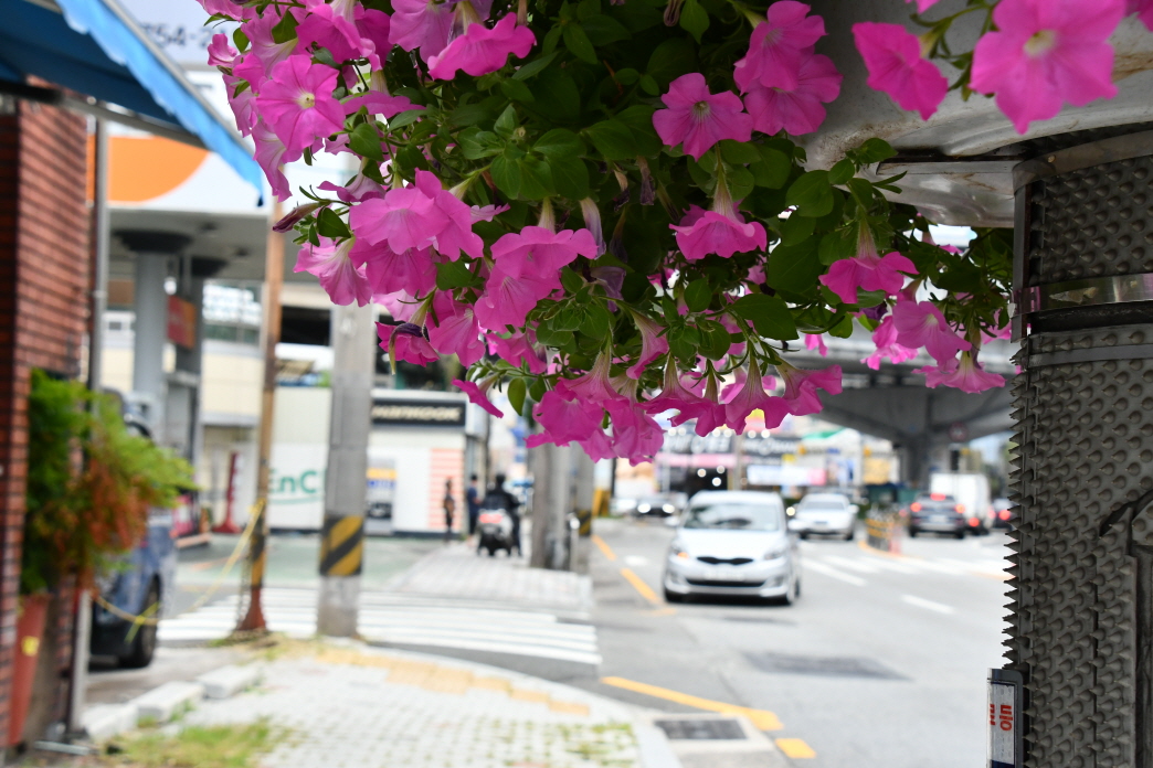 KakaoTalk_20240704_110927384_03.jpg