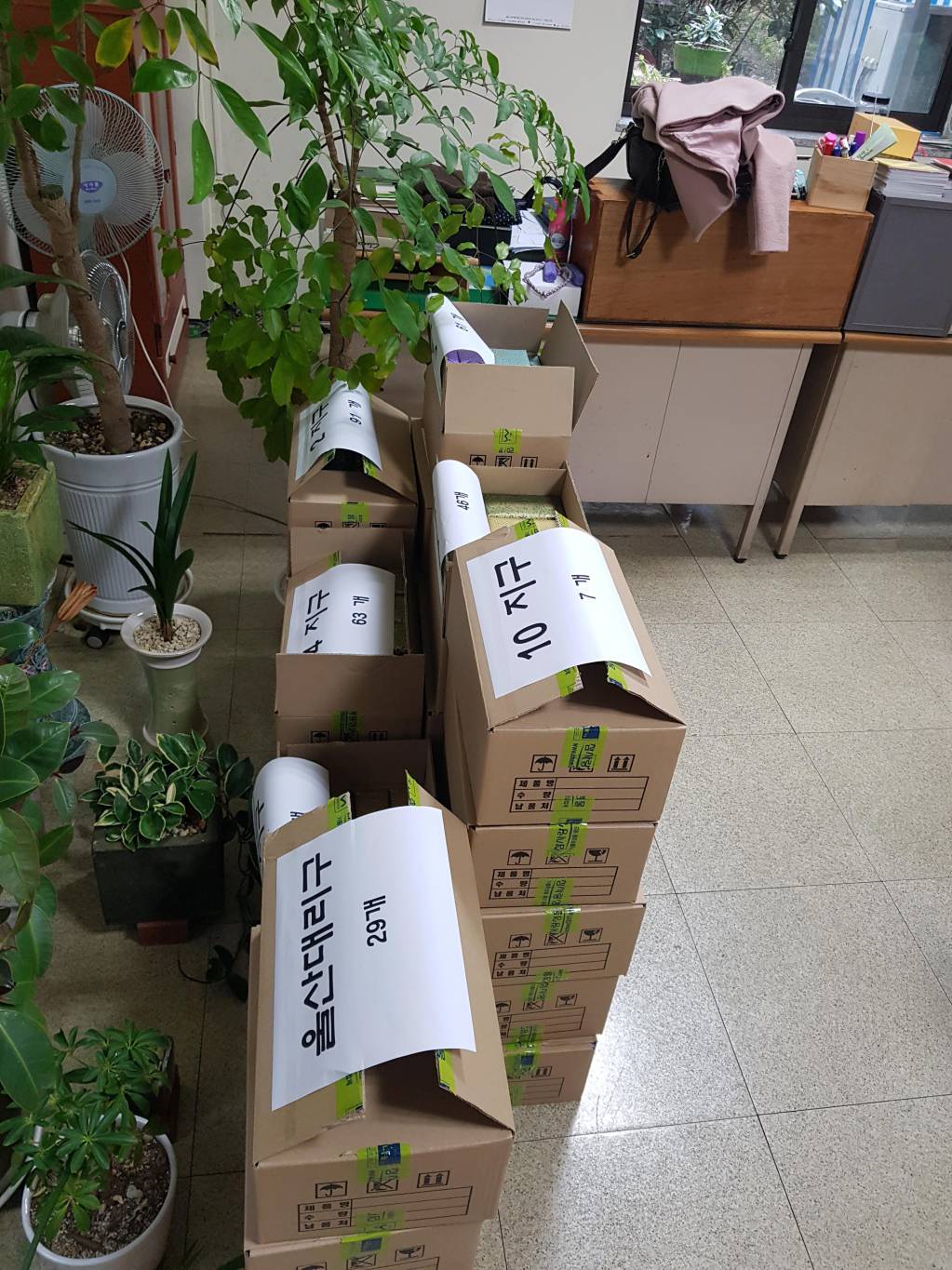 20190207_144819.jpg
