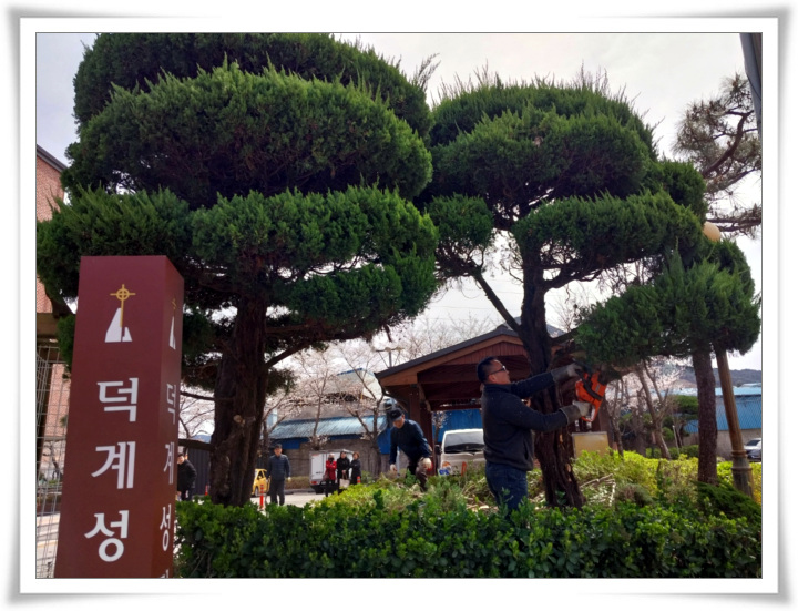 20250402 _성모정원 기초작업 (11).jpg