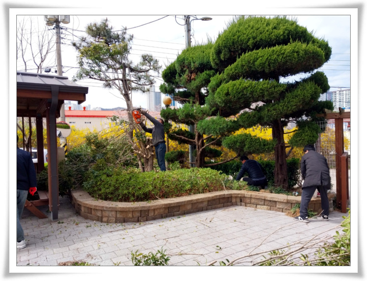 20250402 _성모정원 기초작업 (12).jpg