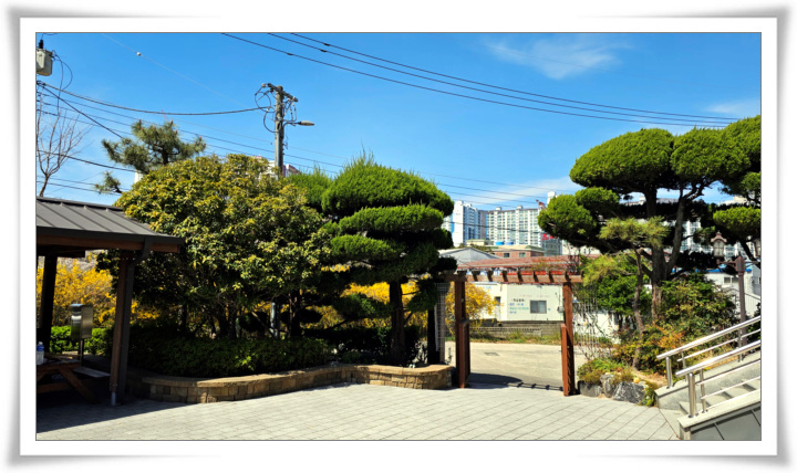 20250402 _성모정원 기초작업 (1).jpg