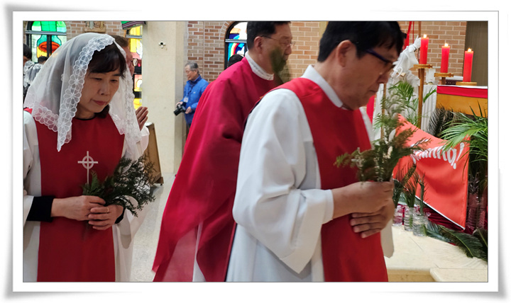 20240324-주님수난성지주일H001.jpg