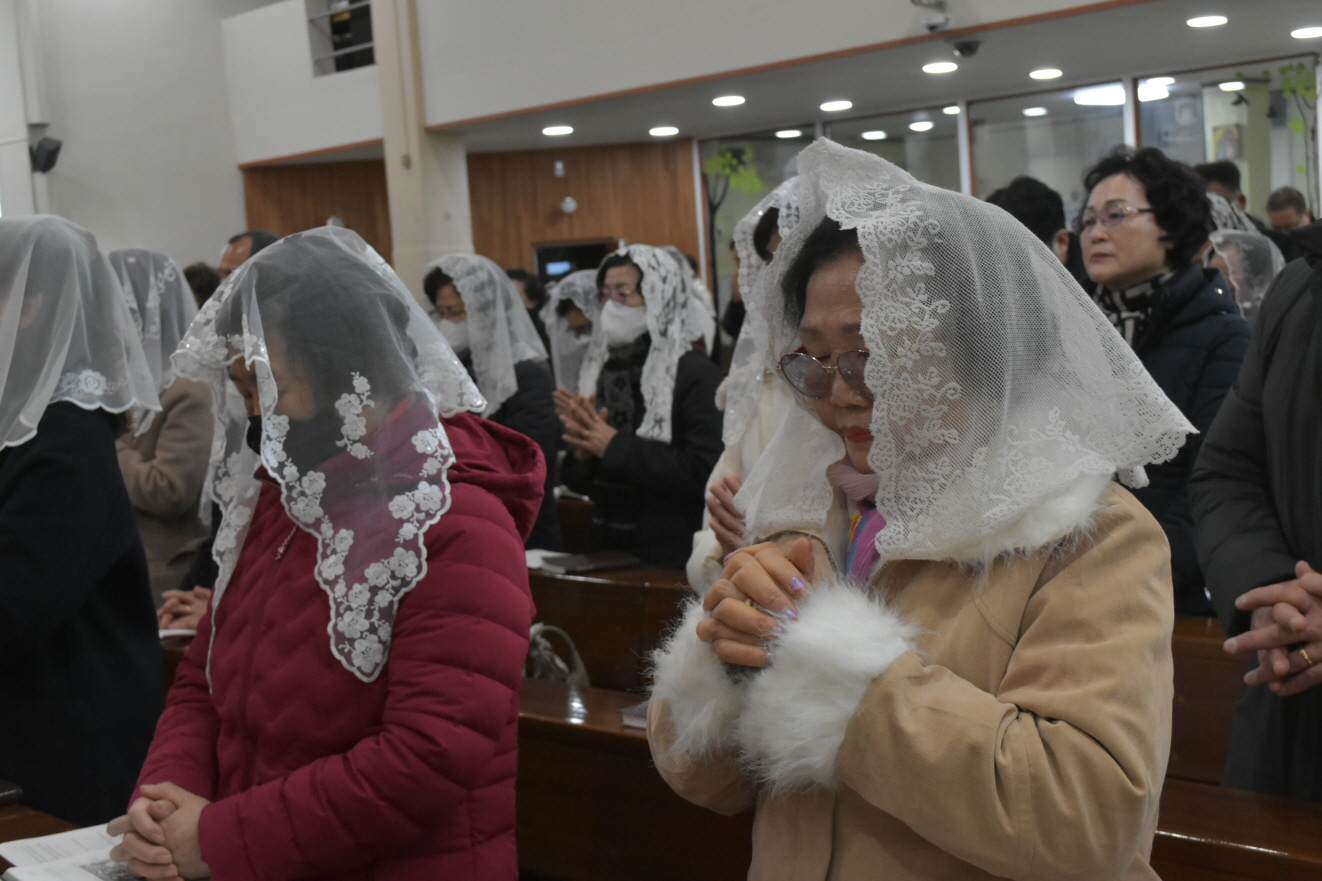 용량DSC_0062.JPG