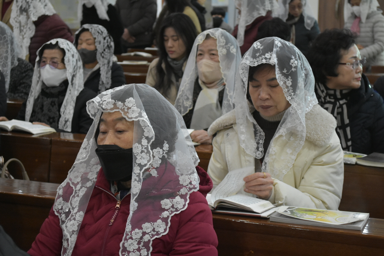 용량DSC_0020.JPG