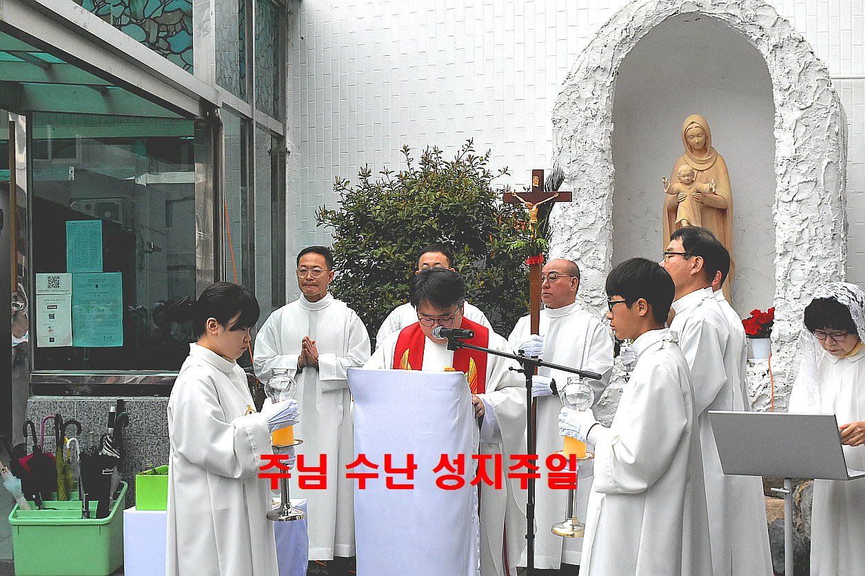 용량DSC_0023.JPG
