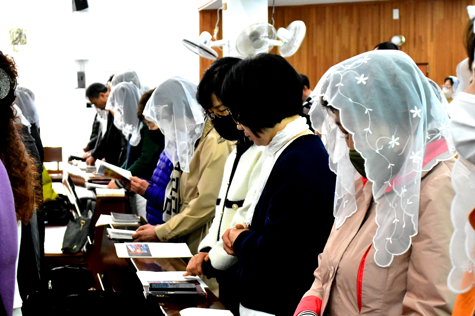 [꾸미기]DSC_0060.JPG