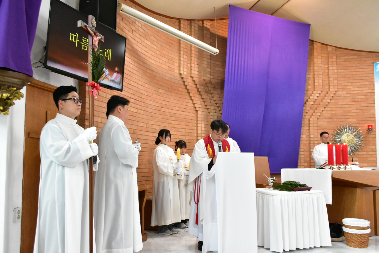 [꾸미기]DSC_0041.JPG