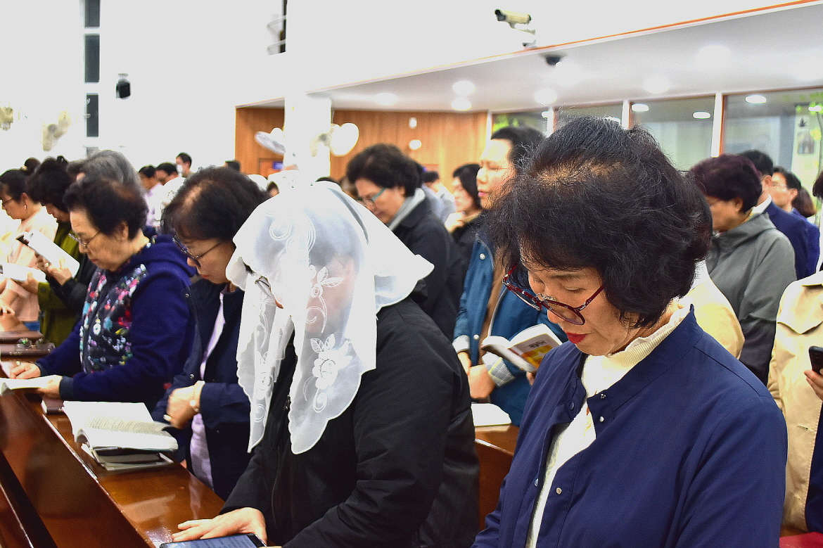 [꾸미기][꾸미기]DSC_0017.JPG
