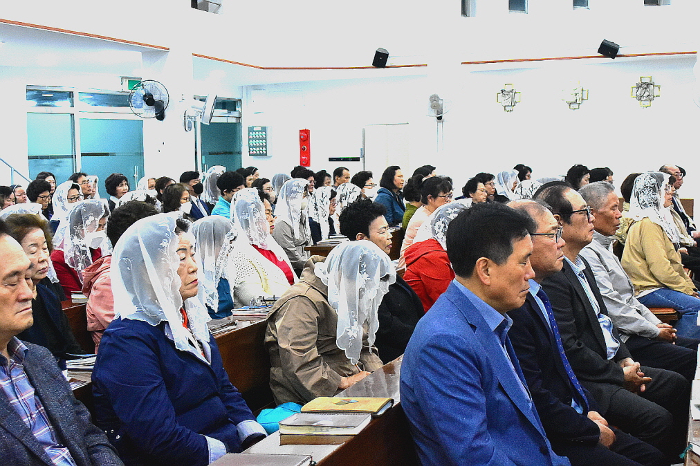 [꾸미기][꾸미기]DSC_0035.JPG